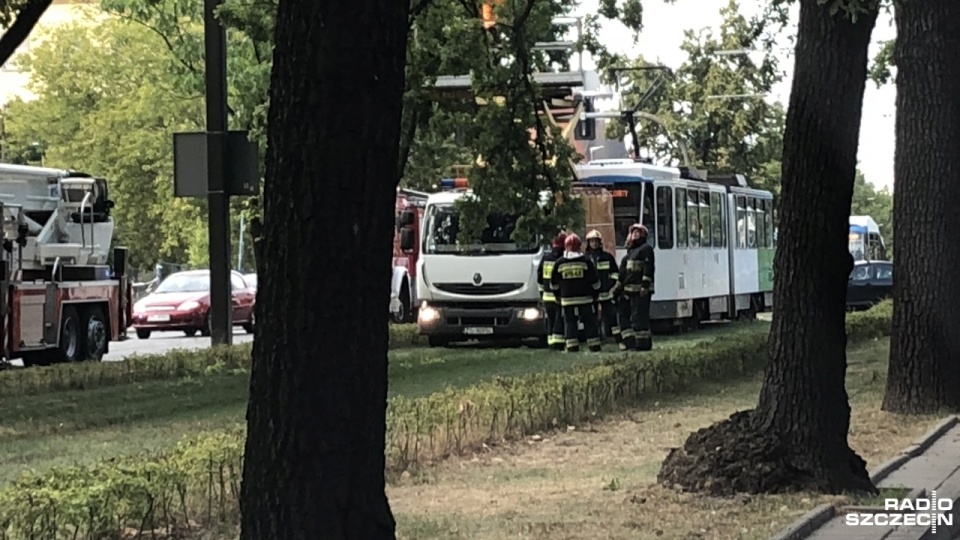 Konar drzewa spadł na trakcję tramwajową przy skrzyżowaniu alei Piastów z ulicą Narutowicza w Szczecinie. Fot. Sebastian Roszkowski [Radio Szczecin]