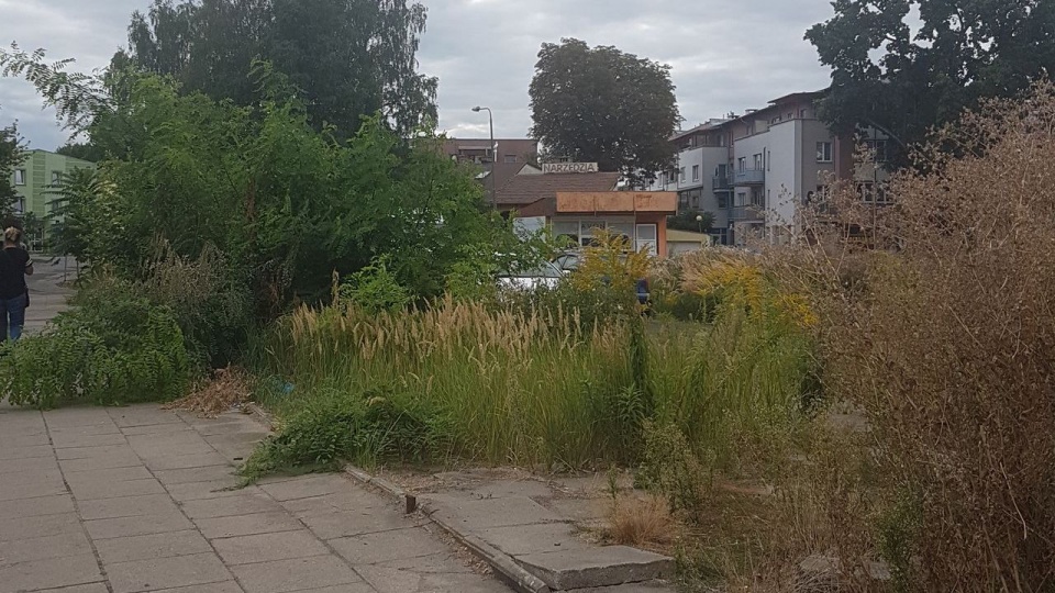 Teren po targowisku przy ul. Dziennikarskiej. Fot. Archiwum prywatne