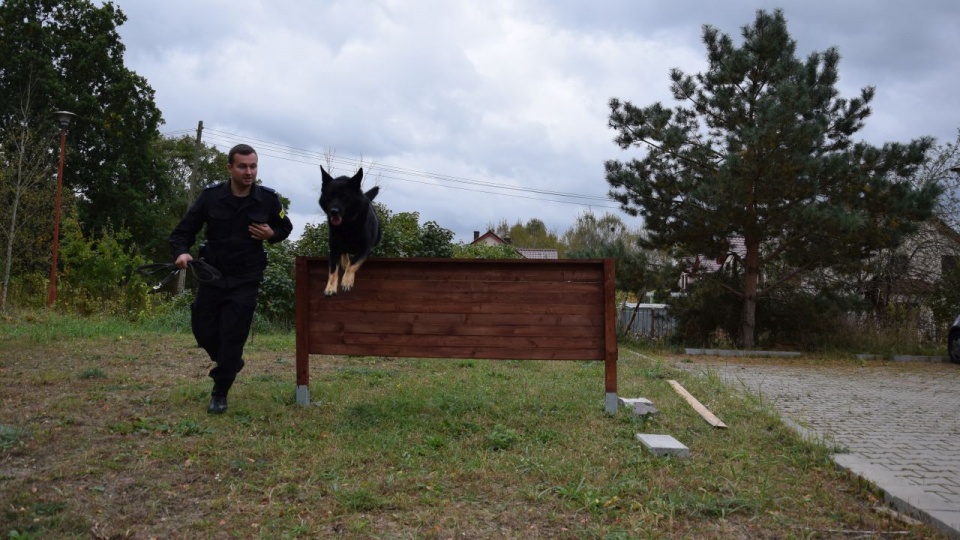 Starszy sierżant Mateusz Garbaciak i owczarek niemiecki "Oro". Fot. Komenda Powiatowa Policji w Policach