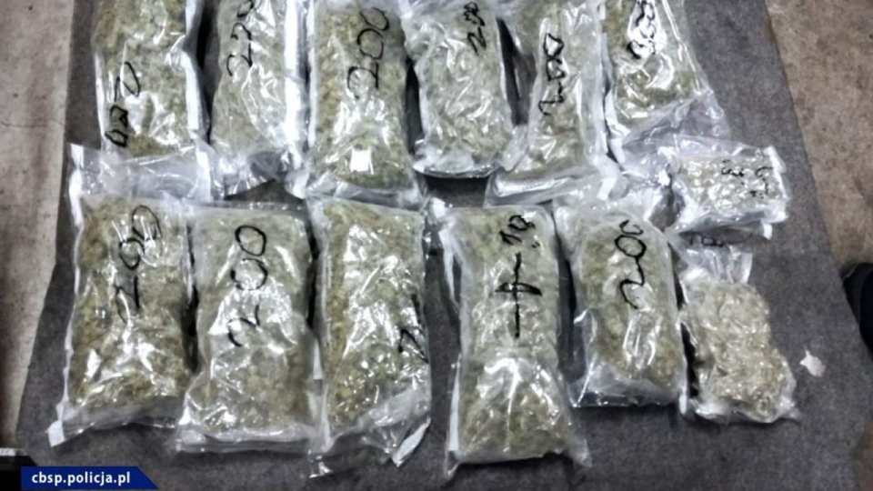 Marihuana była ukryta w autach przewożonych do Płocka na lawetach. Policja przejęła łącznie 12 kilogramów tego narkotyku. źródło: http://www.cbsp.policja.pl/cbs/aktualnosci