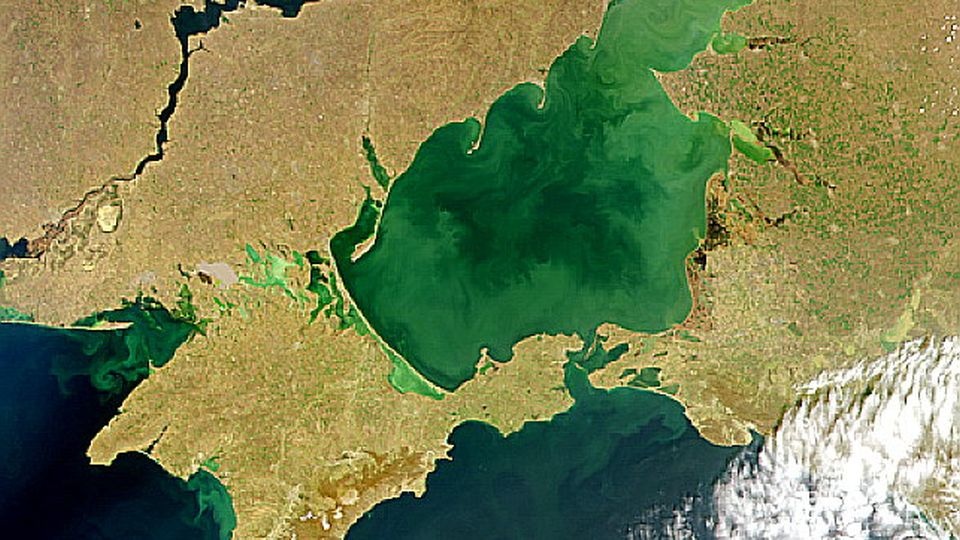 Zdjęcie satelitarne Morza Azowskiego. źródło: https://pl.wikipedia.org/wiki/Morze_Azowskie
