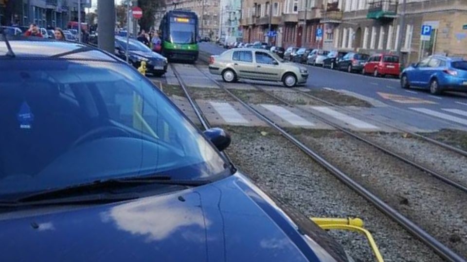 Fot. Facebook Grupa Suszą! Szczecin / Filip Szeszko