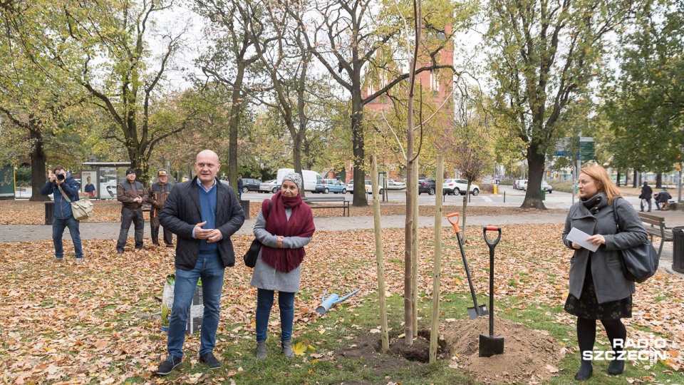 Ostatnie tegoroczne nasadzenia w ramach programu "Platan". Fot. Robert Stachnik [Radio Szczecin]