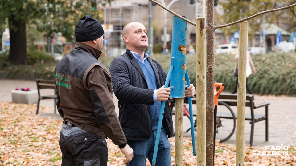 Ostatnie tegoroczne nasadzenia w ramach programu "Platan". Fot. Robert Stachnik [Radio Szczecin]