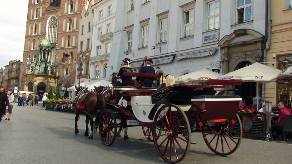 Jednym z elementów śledztwa ma być upadek konia pod Wawelem, do którego doszło w październiku. Fot. źródło: pixabay.com/pl/kraków-rynek-główny-dorożką-1131403/