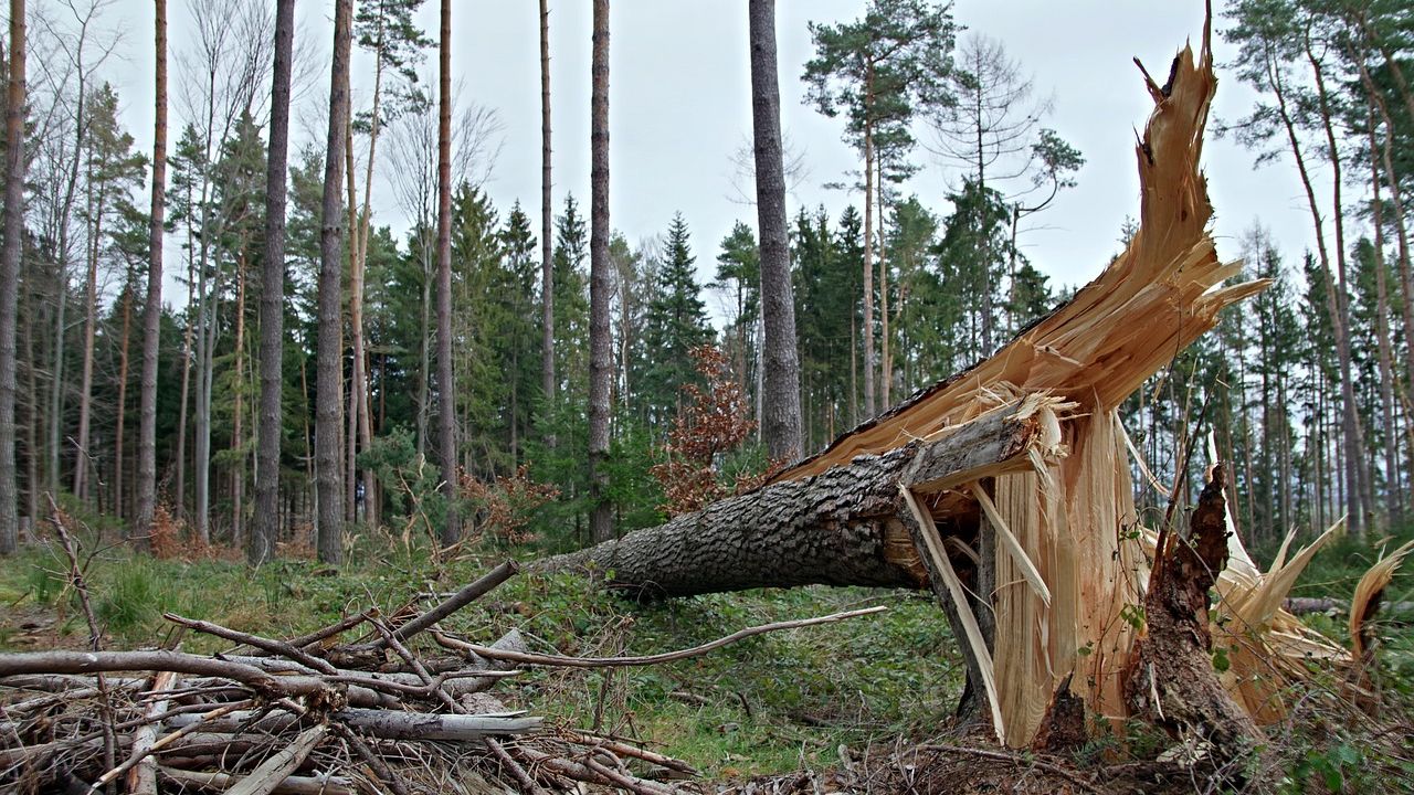 Wichury nad Polską. Ponad 4100 interwencji