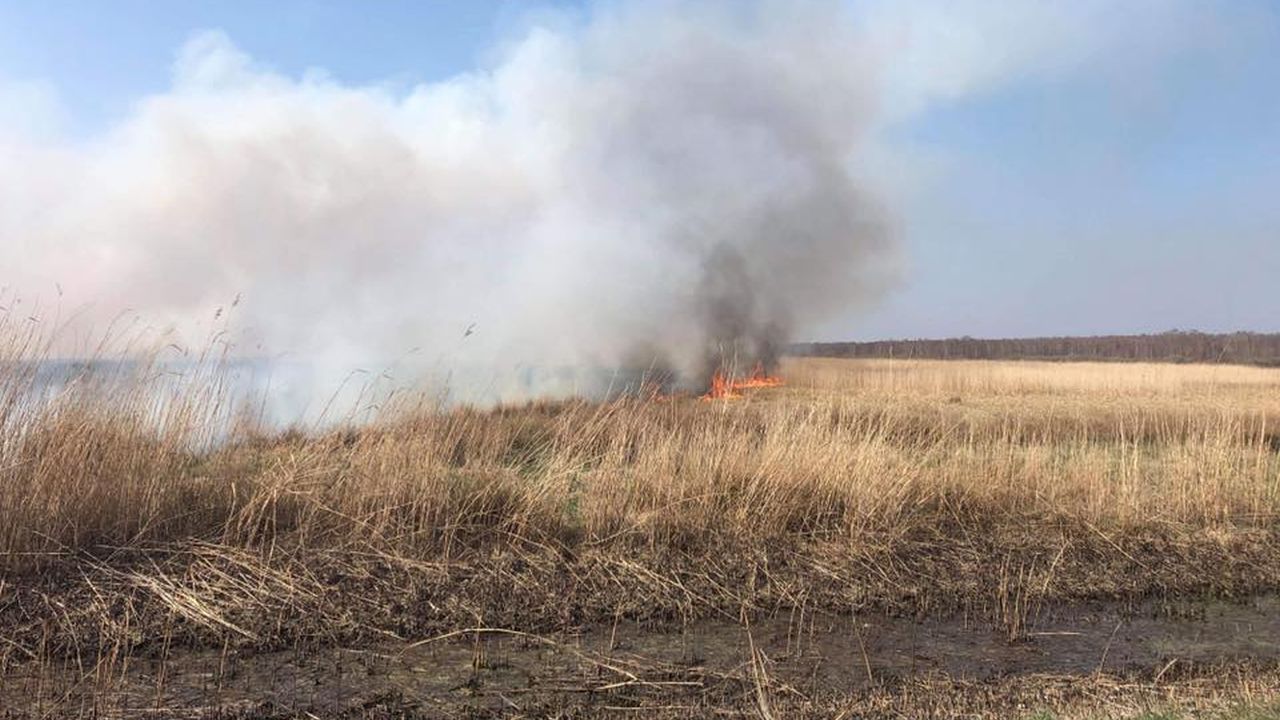Niemal w całej Polsce duże lub średnie zagrożenie pożarowe