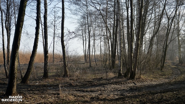 Trzebieską promenadę podpalono w nocy z 23 na 24 listopada ubiegłego roku. Fot. Łukasz Szełemej [Radio Szczecin] Pogorzelisko po promenadzie w Trzebieży posprzątane [ZDJĘCIA]