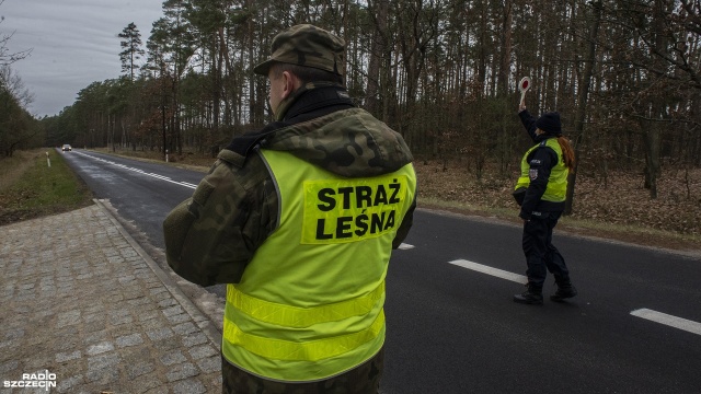 Fot. Wojciech Ochrymiuk [Radio Szczecin] Policja sprawdza samochody pod kątem kradzieży choinek z lasu [WIDEO, ZDJĘCIA]