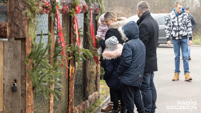 Żywą szopkę w Żydowcach można oglądać w środę do godziny 20 i w czwartek od rana do godz. 18. Fot. Robert Stachnik [Radio Szczecin] Żywa szopka w Żydowcach [WIDEO, DUŻO ZDJĘĆ]