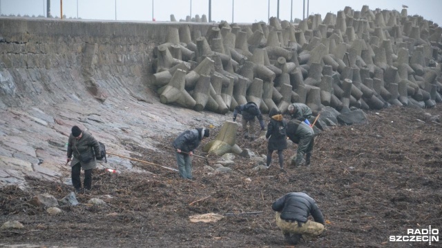 Po ostatnich sztormach nad Bałtykiem nie brakuje osób dokładnie przeczesujących morskie dno i brzegi plaż. To idealny moment na poszukiwania bursztynu.