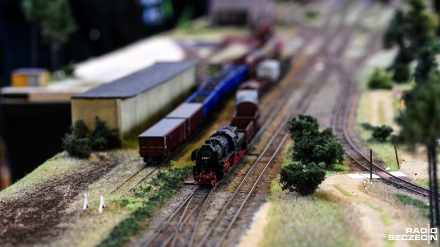 Makiety kolejowe w różnych skalach, modele lokomotyw czy przejażdżka miniaturowym pociągiem - tak wyglądał pierwszy dzień VI Wystawy Makiet Kolejowych.