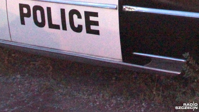 Tragiczne sceny rozegrały się w miejscowości Aurora pod Chicago w jednej z tamtejszych fabryk. Według ostatnich informacji nie żyje sześć osób w tym sprawca. Pięciu policjantów zostało rannych.