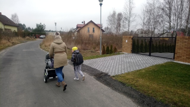 300 metrów od szkoły, w centrum osiedla w Płoni oprosiła się locha. Zwierzę atakuje mieszkańców. Dzika nie można odstrzelić ze względu na to, że ma małe, a barłóg znajduje się w obszarze zabudowanym.
