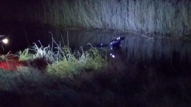Dużo szczęścia miał kierowca samochodu osobowego, który w nocy z czwartku na piątek wjechał do Kanału Łąka niedaleko Lubczyny. Jak tłumaczył właściciel auta jadąc w kierunku miejscowości Czarna Łąka przed pojazd znienacka wyskoczył dzik.