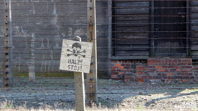 Ulicami Krakowa przeszedł Marsz Pamięci. Pochód zorganizowano w rocznicę likwidacji przez Niemców krakowskiego getta w 1943 roku.
