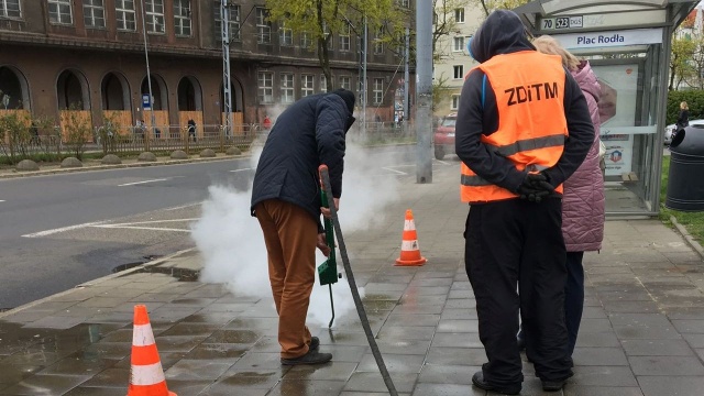 Zarząd Dróg i Transportu Miejskiego w Szczecinie zapowiada walkę z gumami do żucia przyklejonymi do chodników. Na razie szuka skutecznej metody.