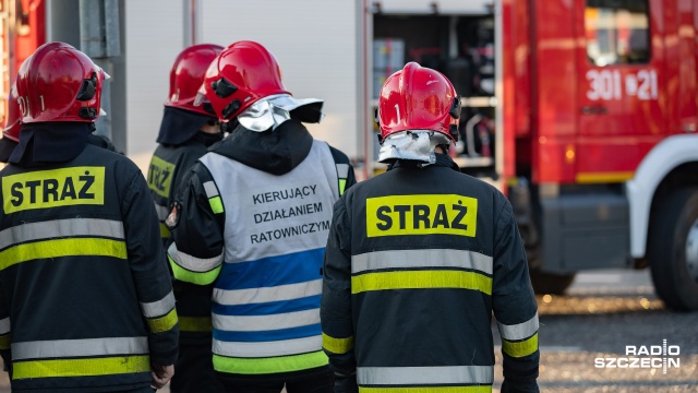 Strażacy opanowali pożar w Zakładzie Przemysłu Drzewnego Complex w Dziemianach.