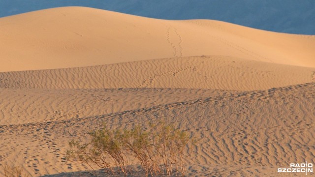 Sahara nad regionem Ekspert wyjaśnia