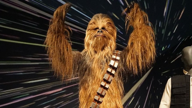 W Stanach Zjednoczonych zmarł Peter Mayhew, który w filmie Gwiezdne wojny zagrał popularną postać humanoida Chewbaki. O śmierci aktora poinformowała jego rodzina. Mayhew miał 74 lata.