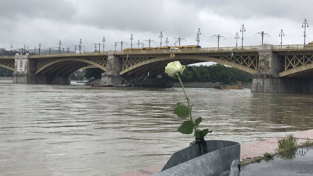 Tragedia na Dunaju. Mógł to być czynnik ludzki