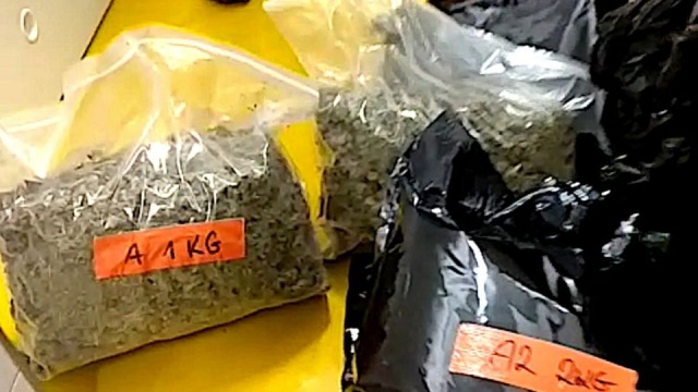 Funkcjonariusze Centralnego Biura Śledczego Policji na terenie powiatu bolesławieckiego zlikwidowali plantację konopi indyjskich i zatrzymali 39-letniego Krzysztofa O.