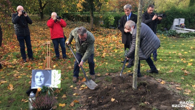 Na Cmentarzu Centralnym w Szczecinie zasadzono kolejne cztery dęby upamiętniające postaci ważne dla miasta. Drzewka pamięci to projekt stowarzyszenia Czas Przestrzeń Tożsamość.