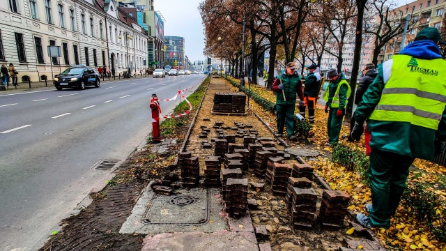Zamiast nieużywanej drogi rowerowej w Alei Kwiatowej w Szczecinie będą rośliny.
