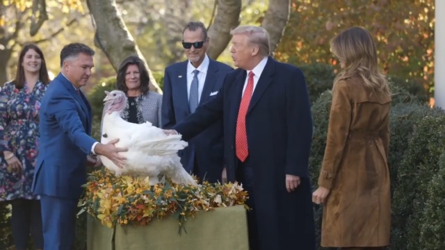 Zgodnie z tradycją amerykańskiego Święta Dziękczynienia, prezydent Donald Trump ułaskawił parę indyków o imionach Bread i Butter. Podczas ceremonii w Białym Domu prezydent USA złożył Amerykanom świąteczne życzenia.