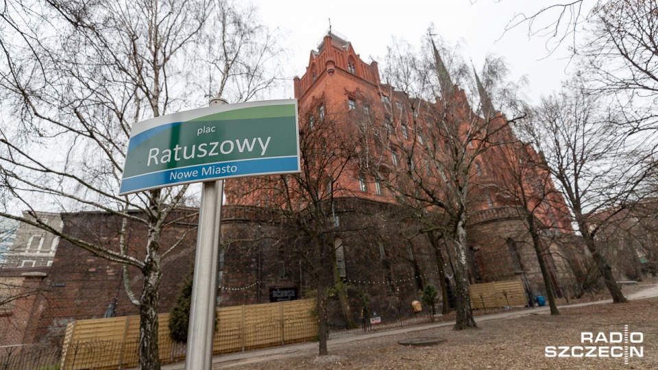 W ubiegłym roku posadzono w sumie 3 tysiące drzew, w tym około 400 drzewek orientalnych, m.in. paulownię cesarską czy budleję Davida. Fot. Robert Stachnik [Radio Szczecin]