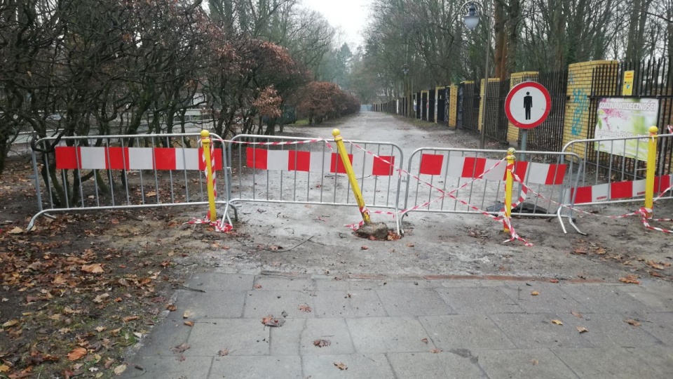 źródło: UM Szczecin
