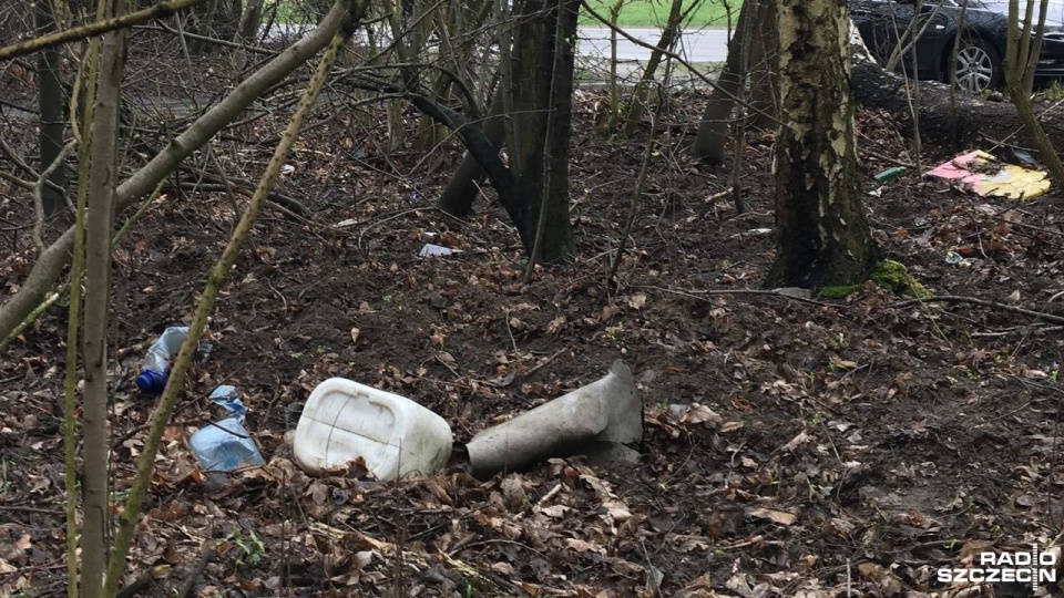 W połowie kwietnia Nadleśnictwo zamierza sprzątać Puszczę Bukową. Lidia Kmiecińska zachęca mieszkańców do wzięcia udziału w akcji. Fot. Sławomir Orlik (Radio Szczecin)