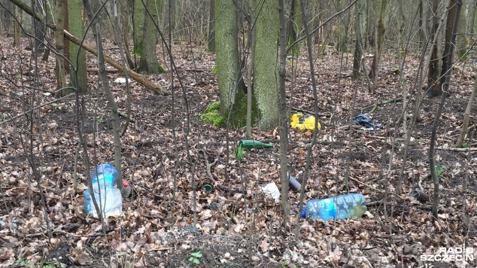 W połowie kwietnia Nadleśnictwo zamierza sprzątać Puszczę Bukową. Lidia Kmiecińska zachęca mieszkańców do wzięcia udziału w akcji. Fot. Sławomir Orlik (Radio Szczecin)