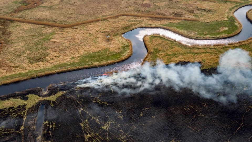 Pożar objął kilkanaście hektarów powierzchni. Fot. facebook.com/aircamerapl