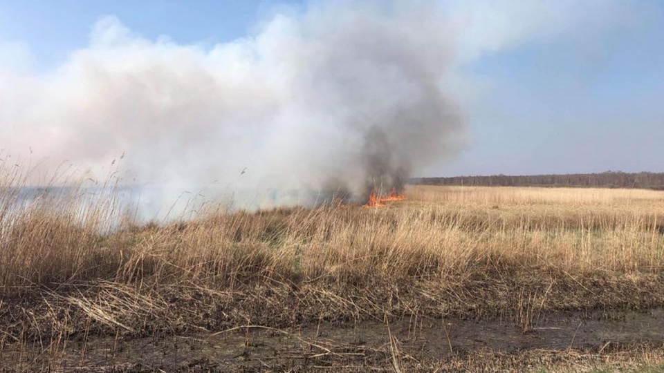 Pożar objął kilkanaście hektarów powierzchni. Fot. facebook.com/OchotniczaStrazPozarnaWMrzezynie