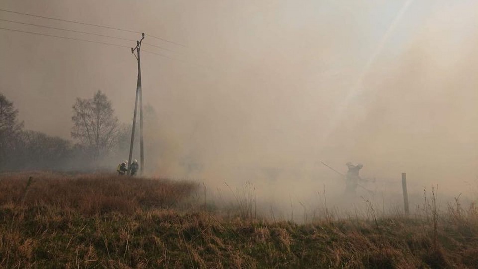 Pożar objął kilkanaście hektarów powierzchni. Fot. facebook.com/OchotniczaStrazPozarnaWMrzezynie