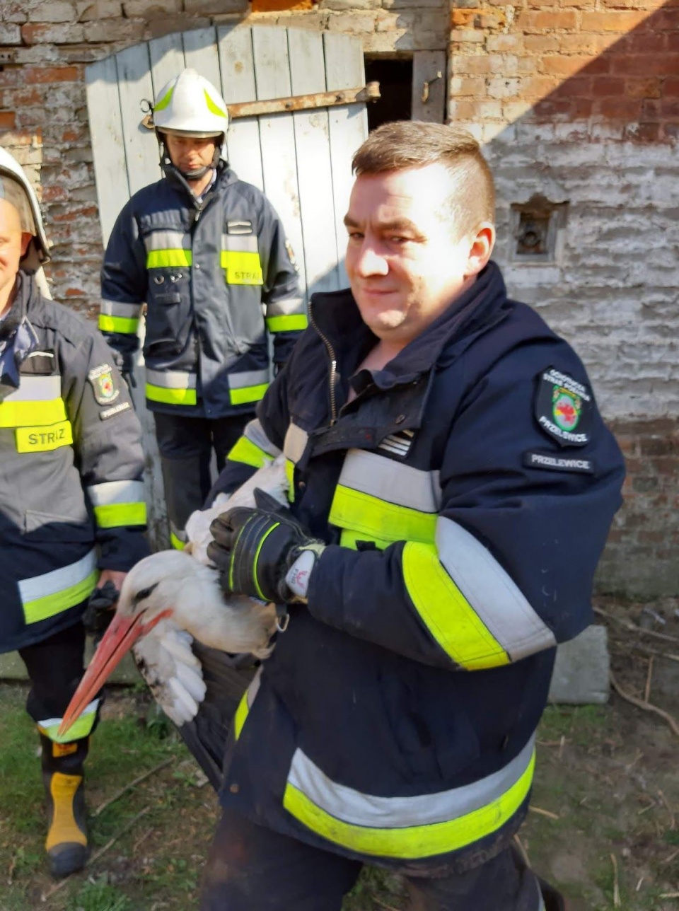 Strażacy z OSP w Przelewicach uratowali ptaka, który wpadł do komina w budynku byłej gorzelni. źródło: https://112pyrzyce.blogspot.com/2019/04/nie-tylko-gasza-pozary-ratuja-tez.html