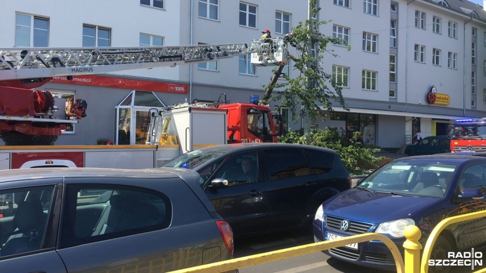 Fot. Bartłomiej Czetowicz [Radio Szczecin]