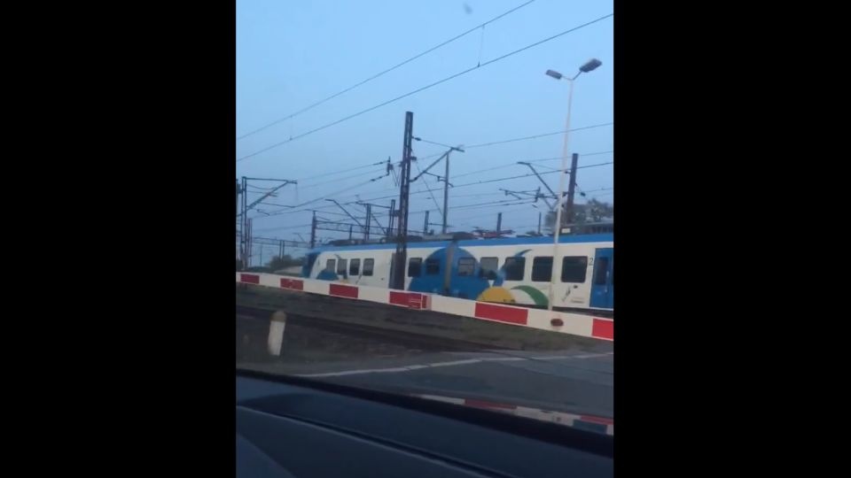 Źrodło: facebook.com / Grupa "Suszą! Szczecin"