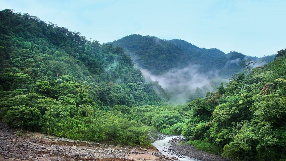 Fundusz ochrony Puszczy Amazońskiej został uruchomiony w 2008 roku jako największy projekt w historii międzynarodowej współpracy na rzecz ochrony lasów deszczowych. źródło: https://pixabay.com/pl/4003374/GregMontani/(CC0 domena publiczna)