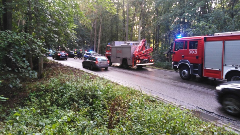 Na ulicy Miodowej, przed jeziorem Głębokie, kierowca BMW uderzył w drzewo. Fot. nadesłane przez Sławomira Korzekwę.