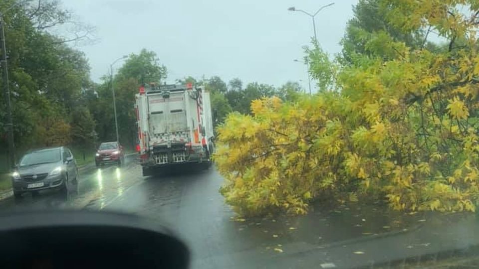 Rondo Gierosa w Szczecinie. Fot. Facebook Grupa Suszą! Szczecin