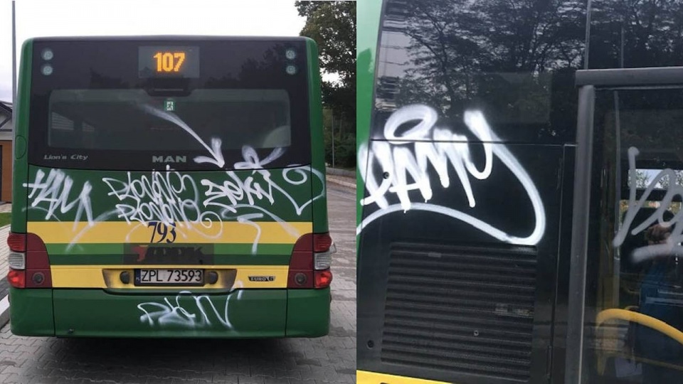 Uszkodzone w sobotę autobusy trafiły do Polic na początku września tego roku. źródło: SPPK