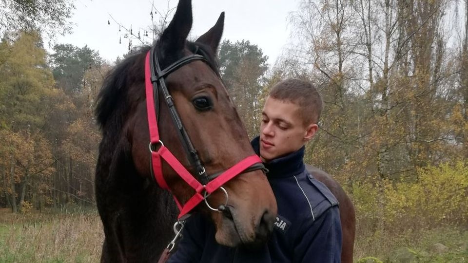 źródło: http://www.zachodniopomorska.policja.gov.pl/sz/aktualnosci/aktualnosci/29824,Kontusz-i-Golden-Dream-w-szeregach-zachodniopomorskiej-Policji.html