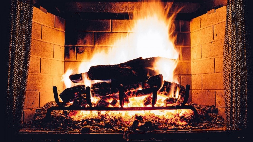 Fot. pixabay.com / Pexels (CC0 domena publiczna)