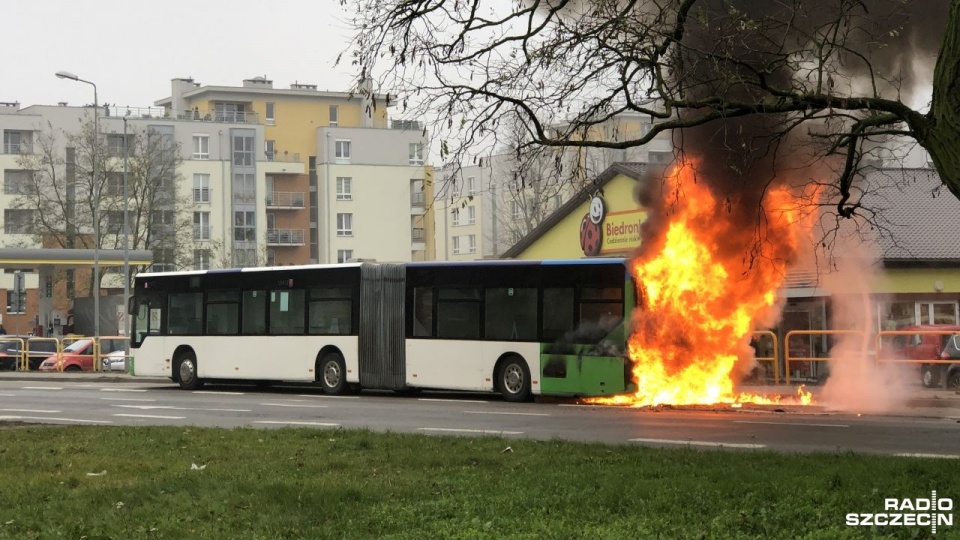 Fot. Robert Stachnik [Radio Szczecin]