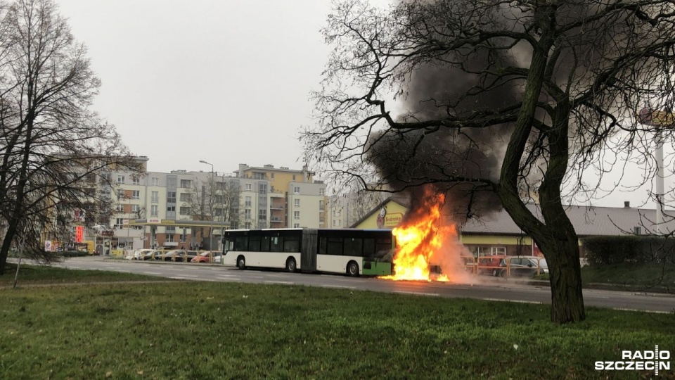 Fot. Robert Stachnik [Radio Szczecin]
