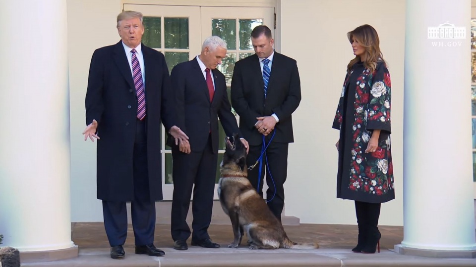 Prezydent Donald Trump wręczył Conanowi odznaczenie i chwalił jego umiejętności podczas ceremonii w Ogrodzie Różanym. źródło: https://www.youtube.com/watch?v=0C_g4akG0WE