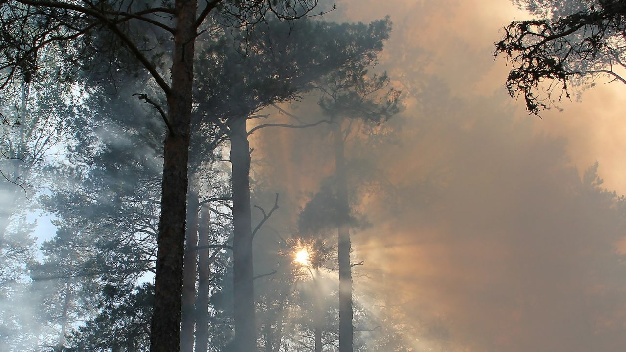 Szósty dzień pożaru w Biebrzańskim Parku Narodowym