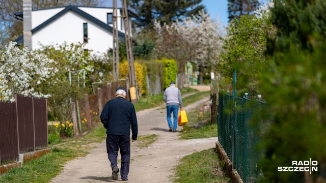 Fot. Robert Stachnik [Radio Szczecin] 25.04.2020 Stan epidemiczny. Dzień czterdziesty pierwszy - wiosna na działkach [WIDEO, DUŻO ZDJĘĆ]